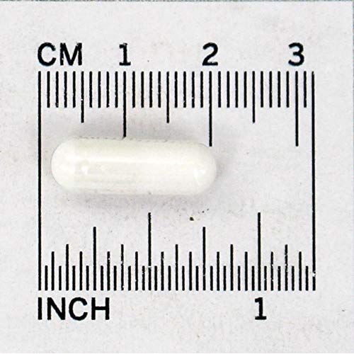 Now Foods Melatonin 5 mg 180 Vcaps - 3556 - The Oasis of Health