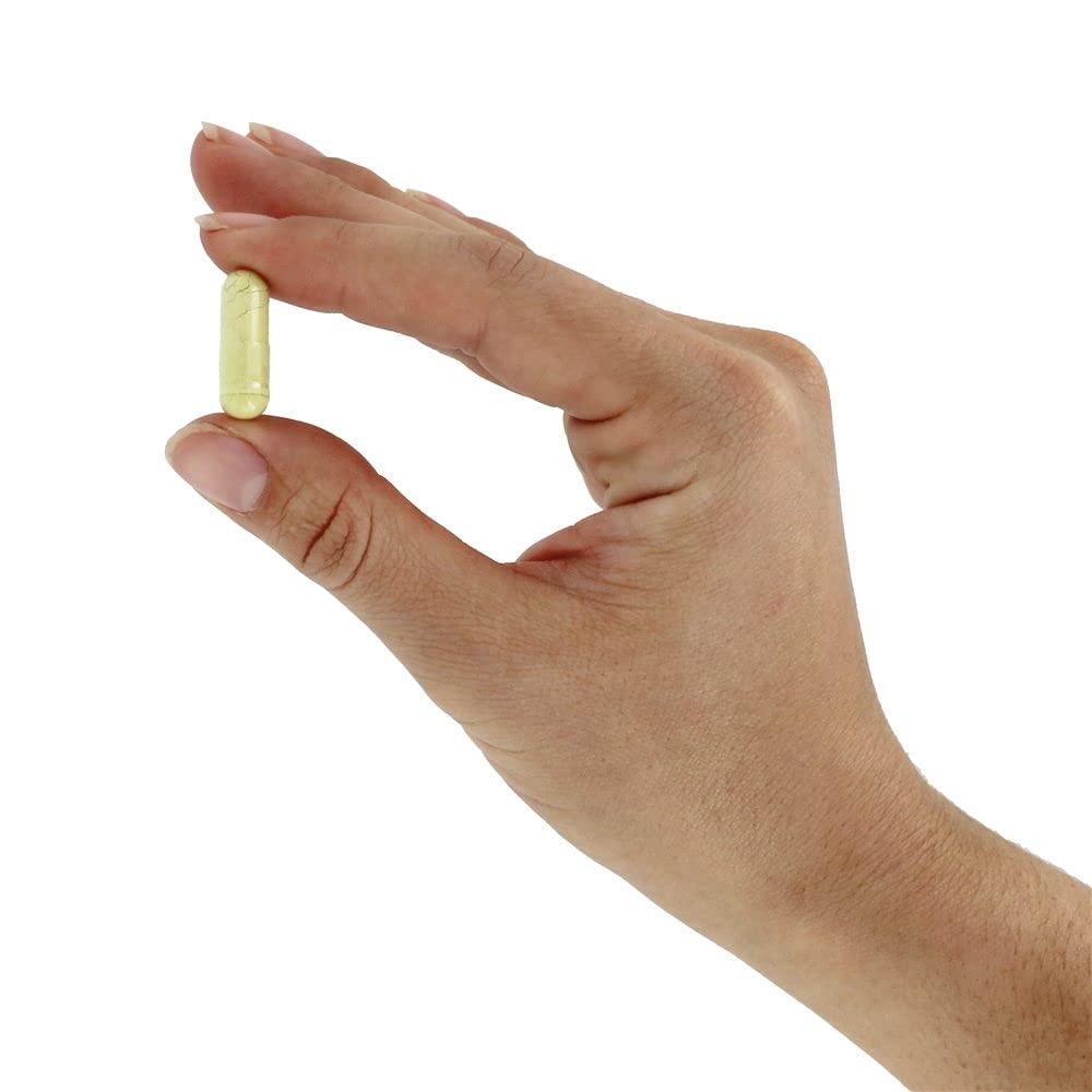 Now Foods Rutin 450 mg 100 Vcaps - 0735 - The Oasis of Health