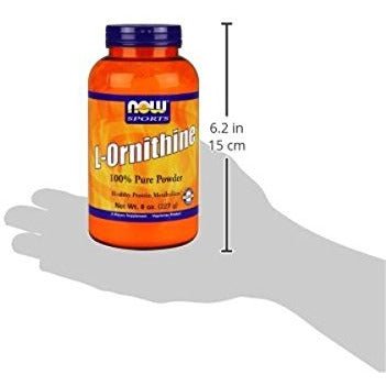 NOW Foods Sports L - Ornithine - 8 oz - The Oasis of Health