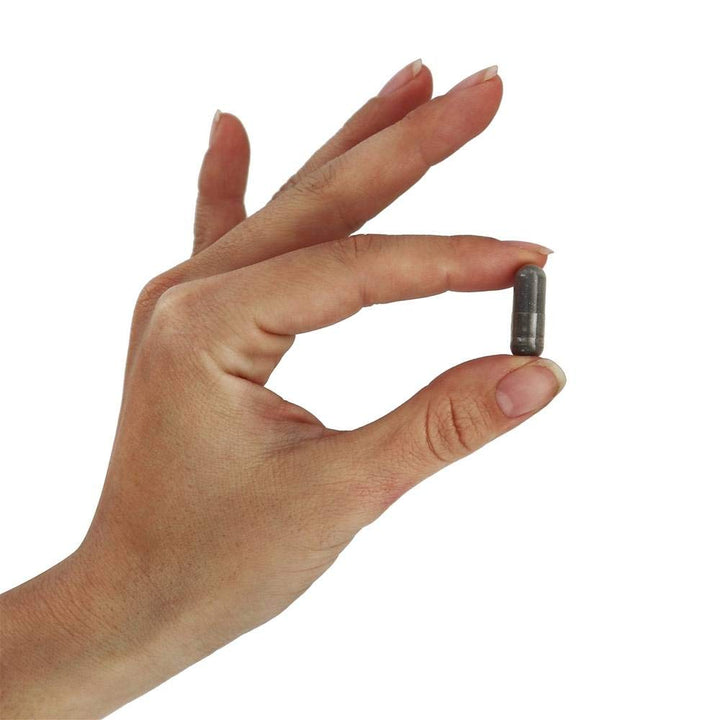 Now Foods St. John's Wort 300 mg 250 Vcaps - 4761 - The Oasis of Health