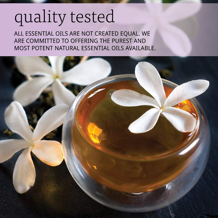 Now Solutions Jasmine Fragrance Oil 1oz - 7555 - The Oasis of Health