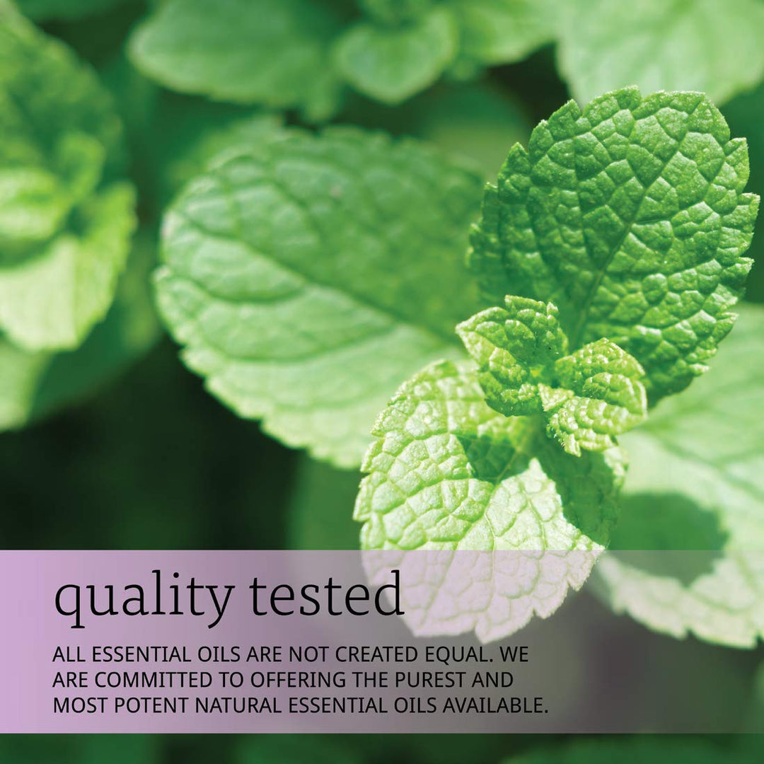 NOW Spearmint Oil, 1 - Ounce - The Oasis of Health