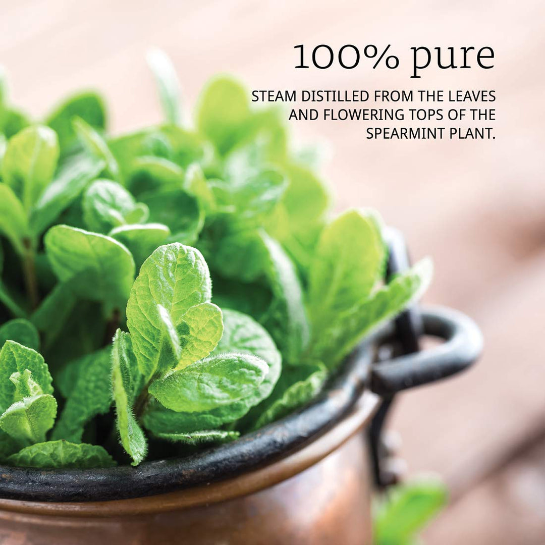 NOW Spearmint Oil, 1 - Ounce - The Oasis of Health