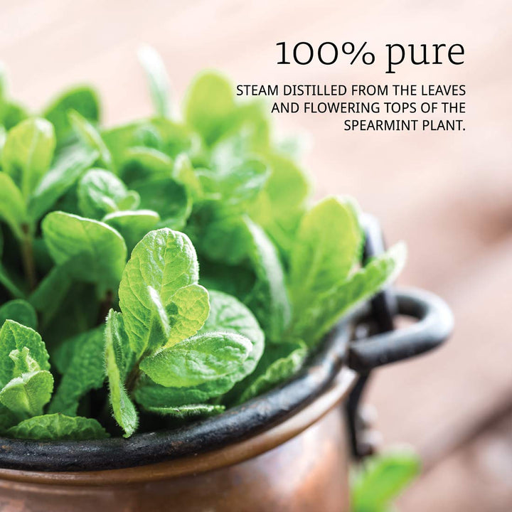 NOW Spearmint Oil, 1 - Ounce - The Oasis of Health