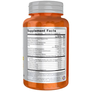 Now Sports Sustained Energy 90 Vcaps - 1995 - The Oasis of Health