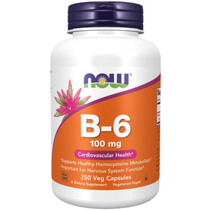 NOW Supplements, Vitamin B - 6 (Pyridoxine HCl) 100 mg, Cardiovascular Health*, 250 Veg Capsules - The Oasis of Health