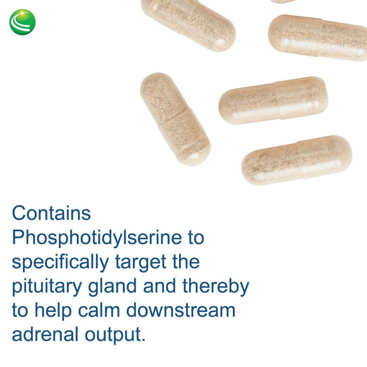 Nutra BioGenesis - AdrenoActive - Gluten Free - 60 Capsules 40957 - The Oasis of Health