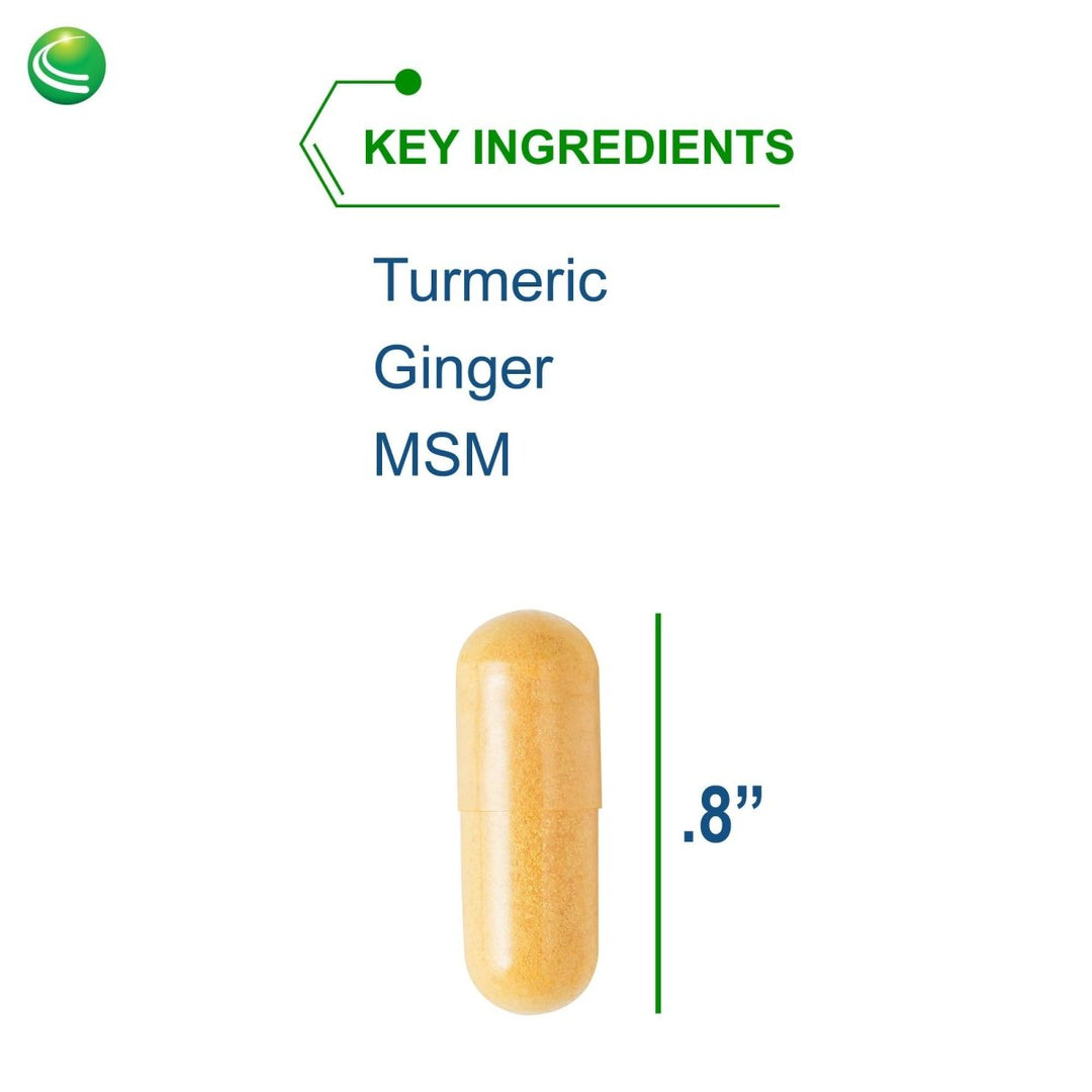 Nutra BioGenesis ArthroGenx 150 Capsules (38755) - The Oasis of Health