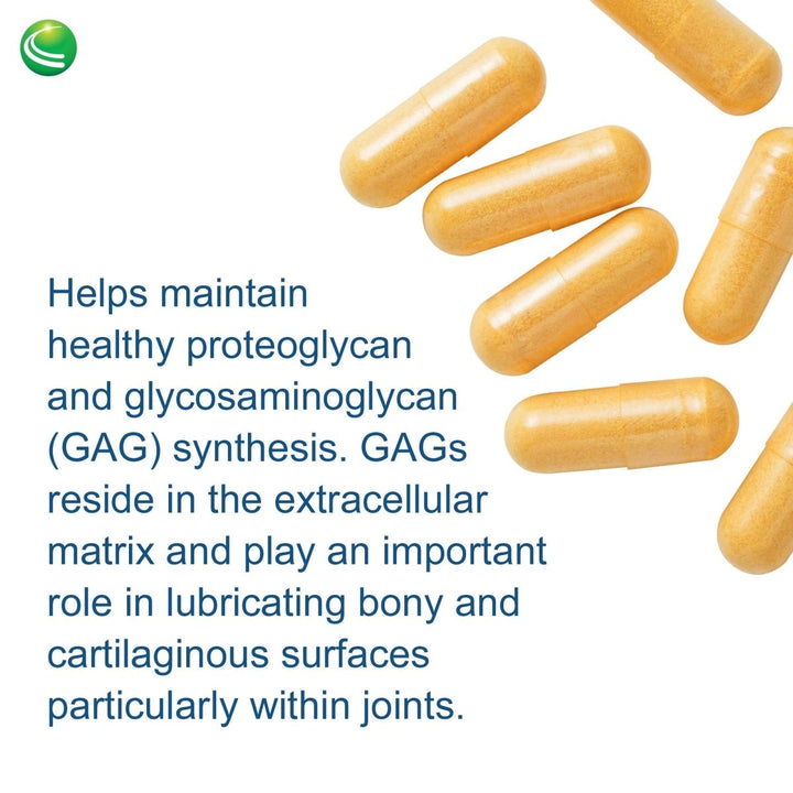 Nutra BioGenesis ArthroGenx 150 Capsules (38755) - The Oasis of Health