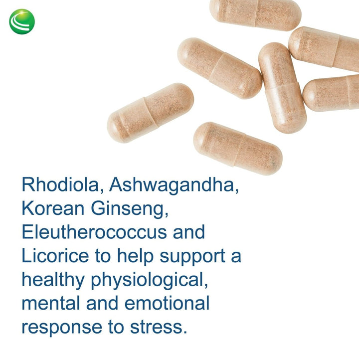 Nutra BioGenesis BioAdaptogen Ultra 60 Capsules PN 10294 - The Oasis of Health