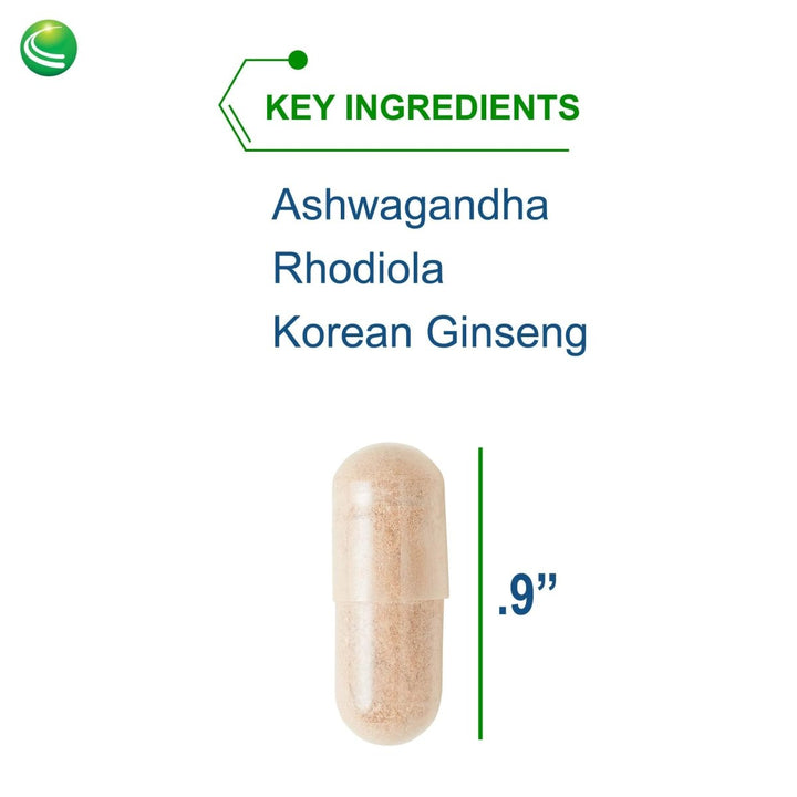 Nutra BioGenesis - BioAdaptogen Ultra - Ashwagandha, Rhodiola and Korean Ginseng to Help Support Stress Response and Neurotransmitter Health - 60 Capsules - The Oasis of Health