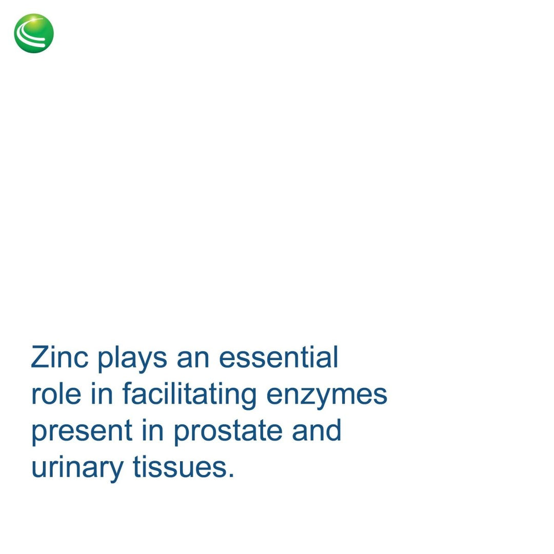 Nutra BioGenesis - BioProstate - Saw Palmetto, Beta - Sitosterol and Lycopene for Prostate Health and Urinary Tract Support - Gluten Free, Vegan - 120 Capsules - The Oasis of Health
