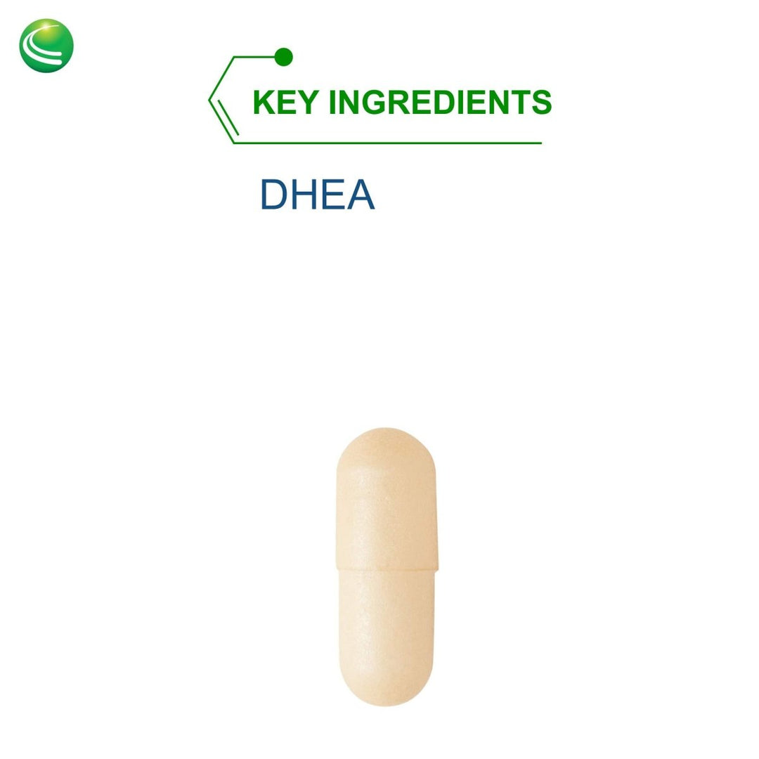 Nutra BioGenesis - DHEA TR - 10 mg, 120 Capsules 10240 - The Oasis of Health