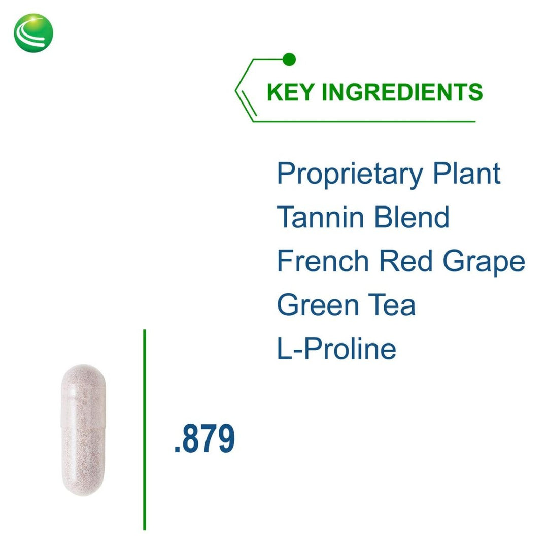 Nutra BioGenesis - DysbioX - Intestinal Support - Vegan, Gluten Free, Non - GMO - 60 Capsules - The Oasis of Health
