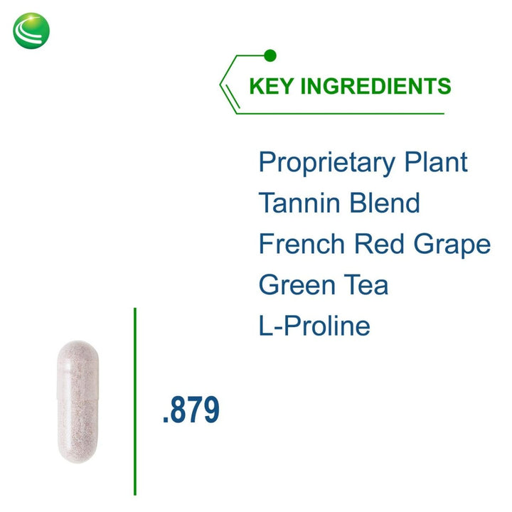 Nutra BioGenesis - DysbioX - Intestinal Support - Vegan, Gluten Free, Non - GMO - 60 Capsules - The Oasis of Health