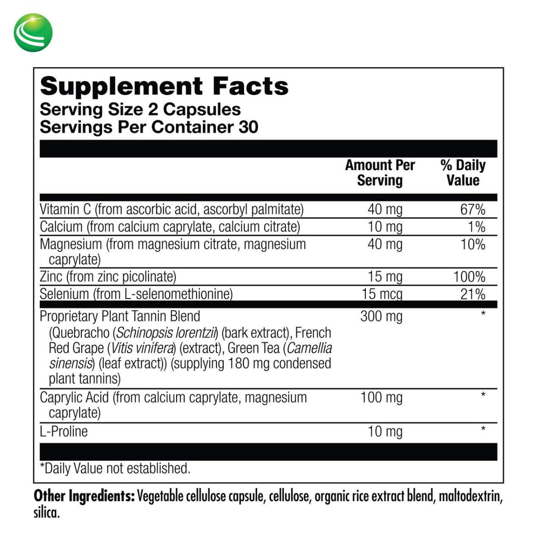 Nutra BioGenesis - DysbioX - Intestinal Support - Vegan, Gluten Free, Non - GMO - 60 Capsules - The Oasis of Health