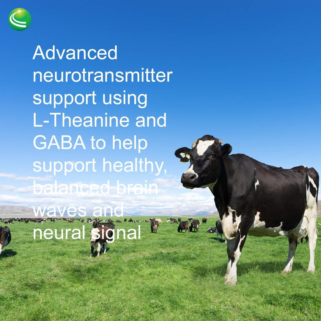 Nutra BioGenesis - Focus Fizz Powder - 150 g 01407 - The Oasis of Health