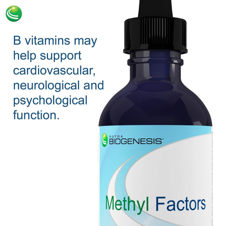 Nutra BioGenesis Methyl Factors Berry Flavor 2 oz PN 90264 - The Oasis of Health