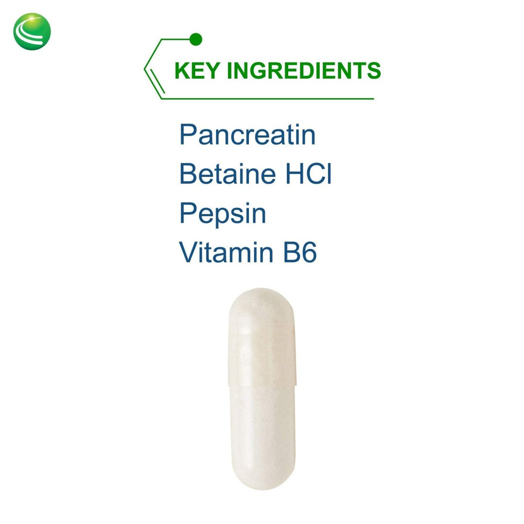 Nutra BioGenesis - PanZyme - B Vitamins, Betanine HCl, and Pancreatin as Digestive Enzymes for Digestive Health - 180 Capsules - The Oasis of Health