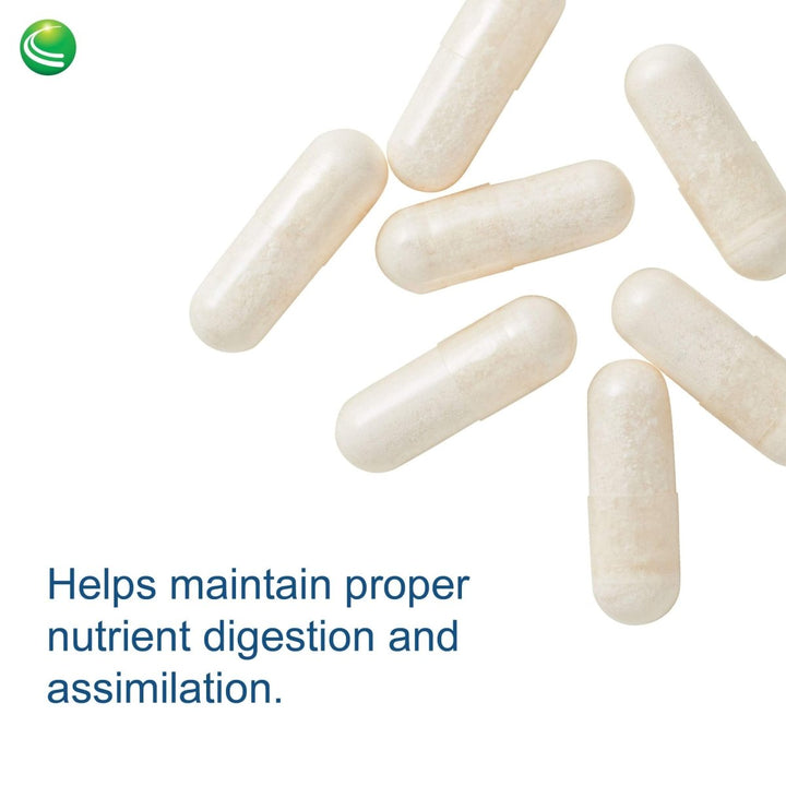 Nutra BioGenesis - PanZyme - B Vitamins, Betanine HCl, and Pancreatin as Digestive Enzymes for Digestive Health - 180 Capsules - The Oasis of Health