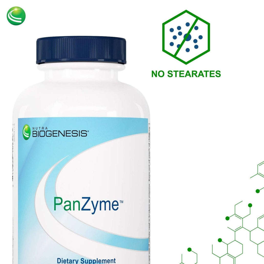 Nutra BioGenesis - PanZyme - B Vitamins, Betanine HCl, and Pancreatin as Digestive Enzymes for Digestive Health - 180 Capsules - The Oasis of Health