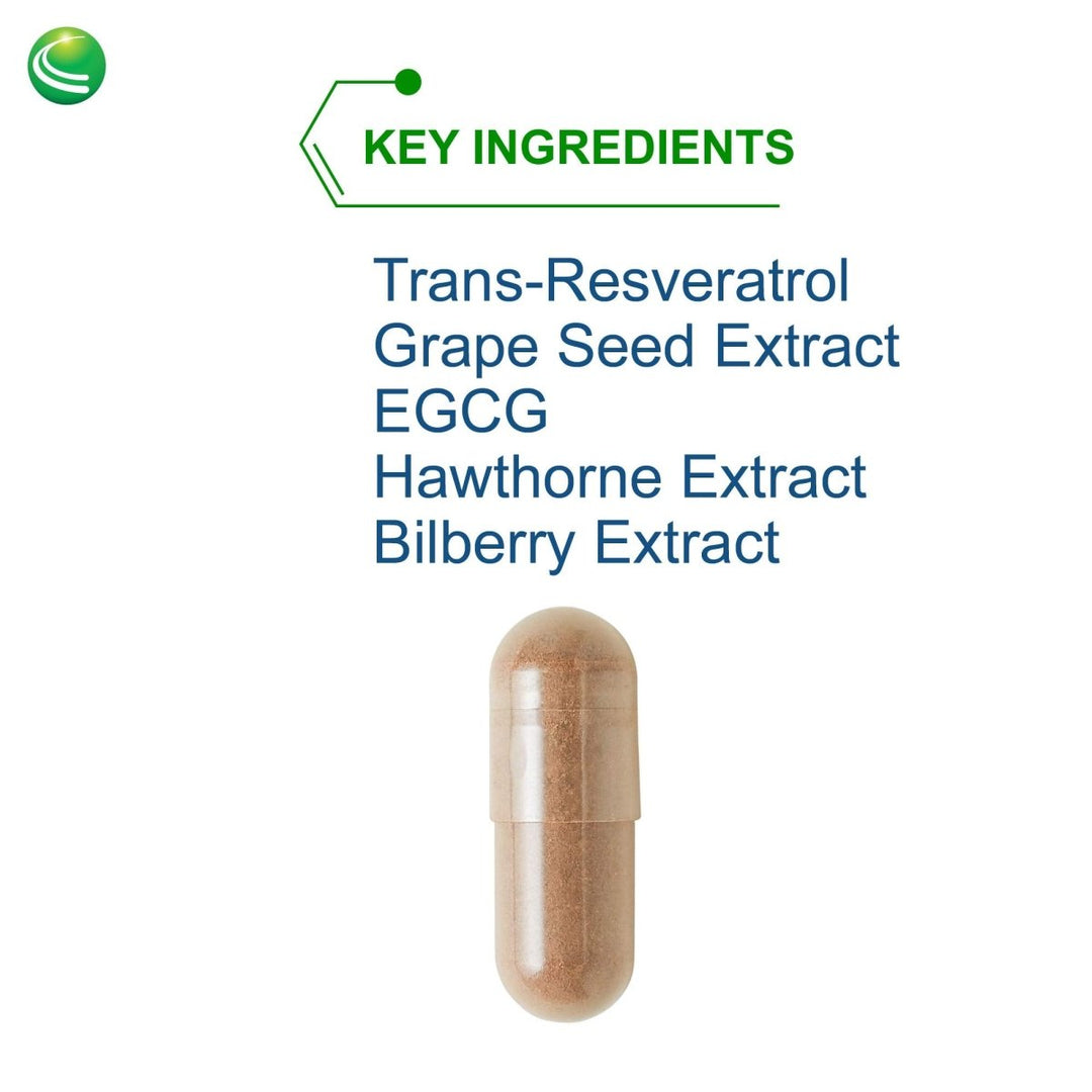 Nutra BioGenesis - Resveratrol Plus Flavonoids - 90 Capsules - The Oasis of Health