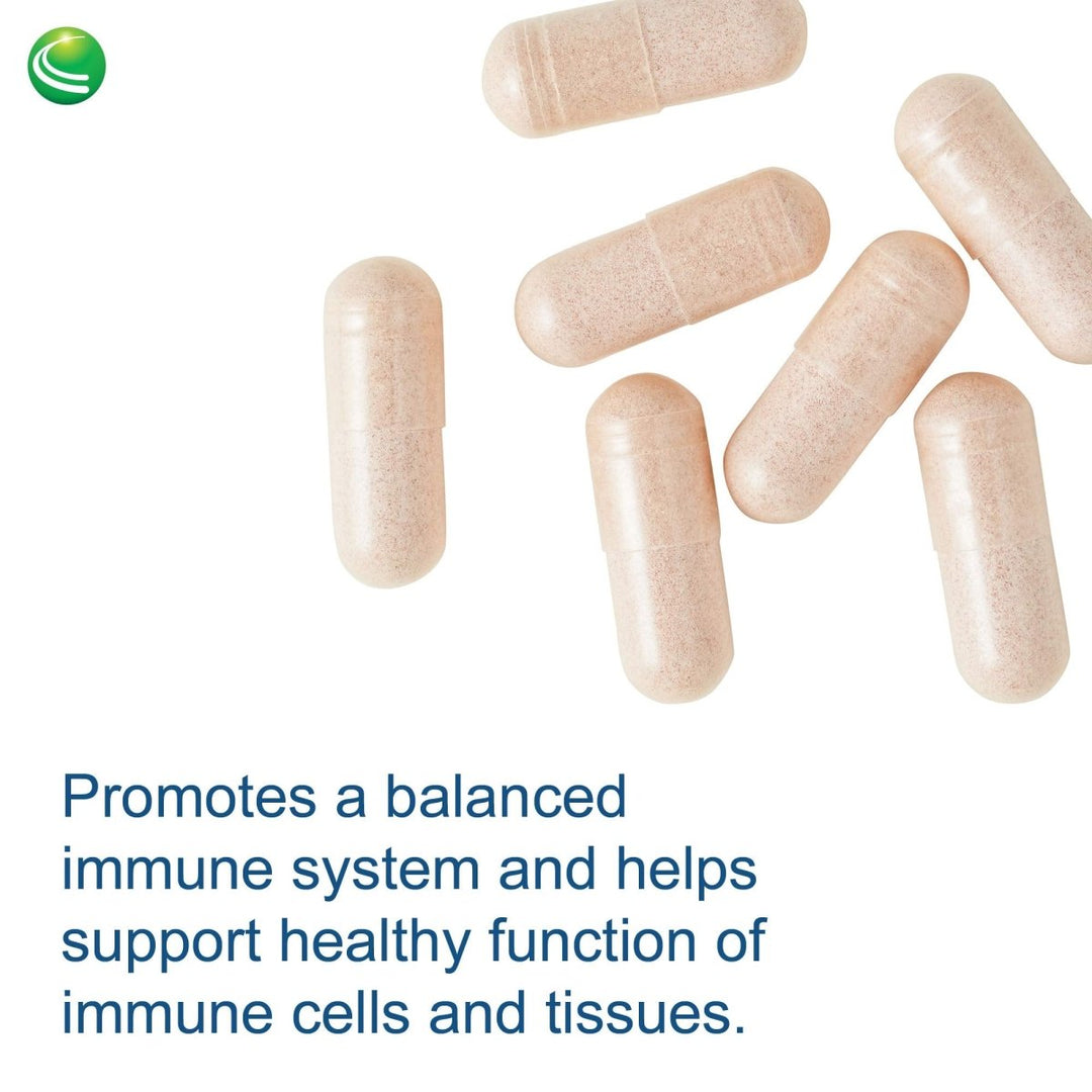 Nutra BioGenesis - Sterol 117 - Plant Sterols and Pine Bark Extract to Help Support Immunity, Urinary Tract Health and Cholesterol Already Within Normal Range - 30 Capsules - The Oasis of Health