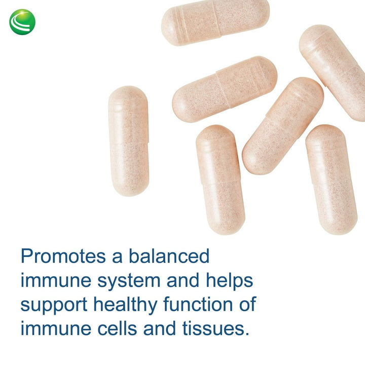 Nutra BioGenesis - Sterol 117 - Plant Sterols and Pine Bark Extract to Help Support Immunity, Urinary Tract Health and Cholesterol Already Within Normal Range - 60 Capsules - The Oasis of Health