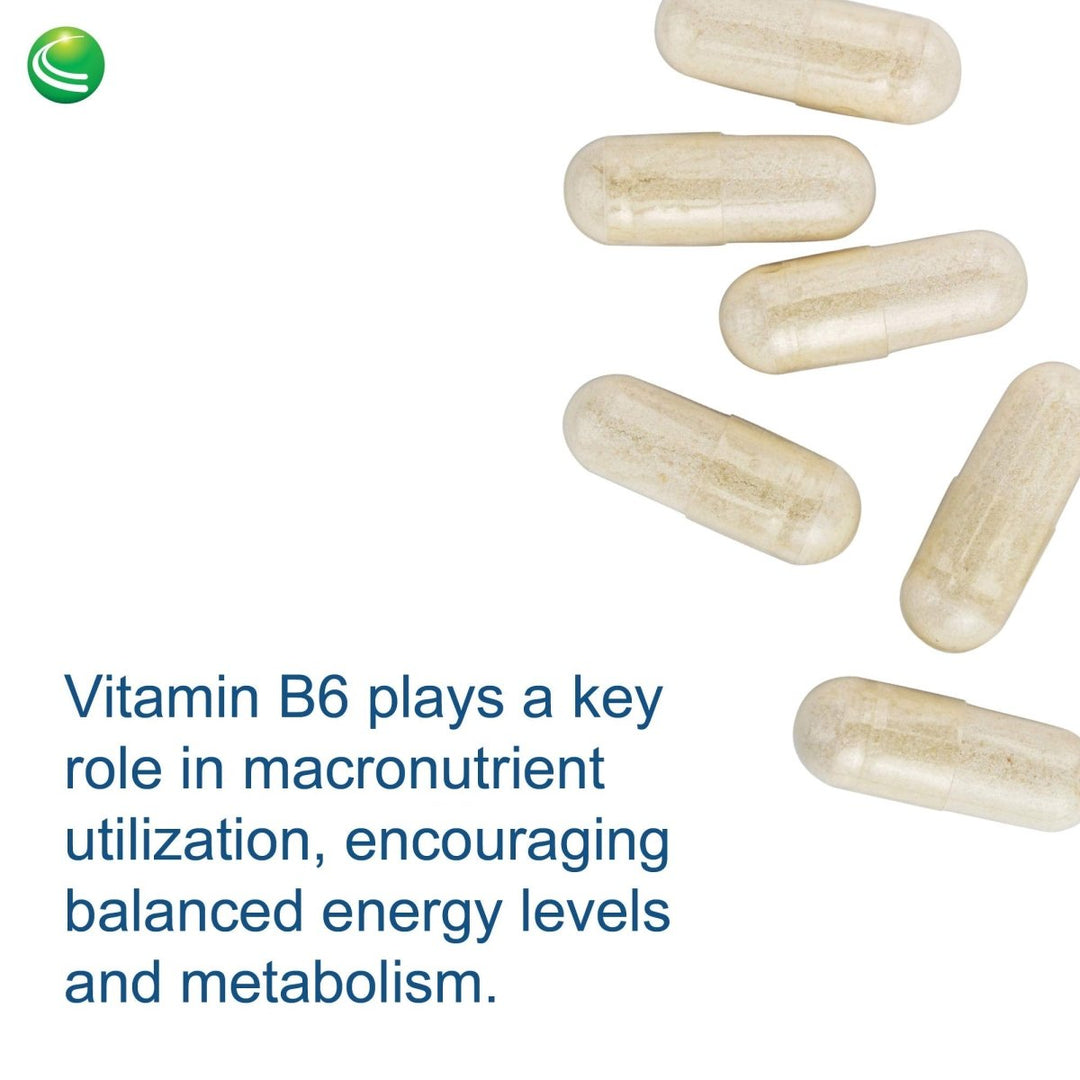 Nutra BioGenesis - Stress Factors - Vitamin B6, Lithium and GABA to Help Support Stress Response and Neurotransmitter Health - 60 Capsules - The Oasis of Health