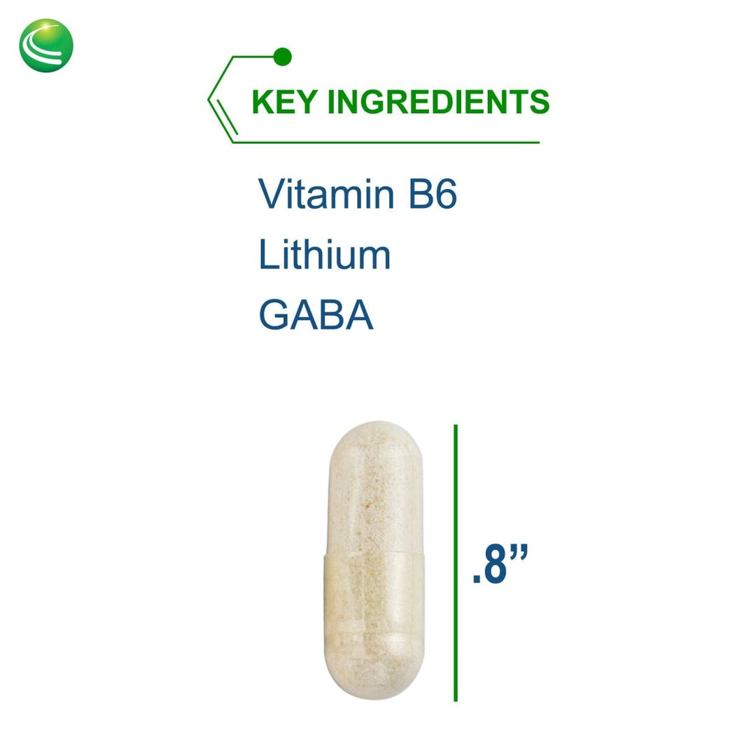 Nutra BioGenesis - Stress Factors - Vitamin B6, Lithium and GABA to Help Support Stress Response and Neurotransmitter Health - 60 Capsules - The Oasis of Health