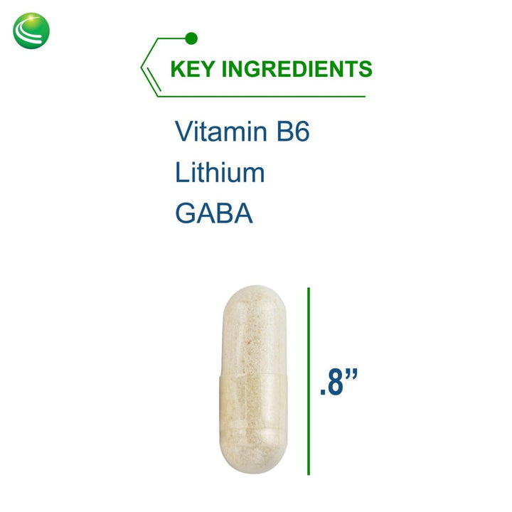 Nutra BioGenesis - Stress Factors - Vitamin B6, Lithium and GABA to Help Support Stress Response and Neurotransmitter Health - 60 Capsules - The Oasis of Health