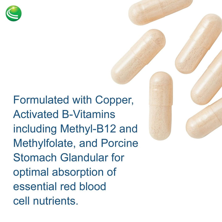 Nutra BioGenesis - Ultra Hematinic - , RBC Support and Energy - 60 Capsules 13576 - The Oasis of Health