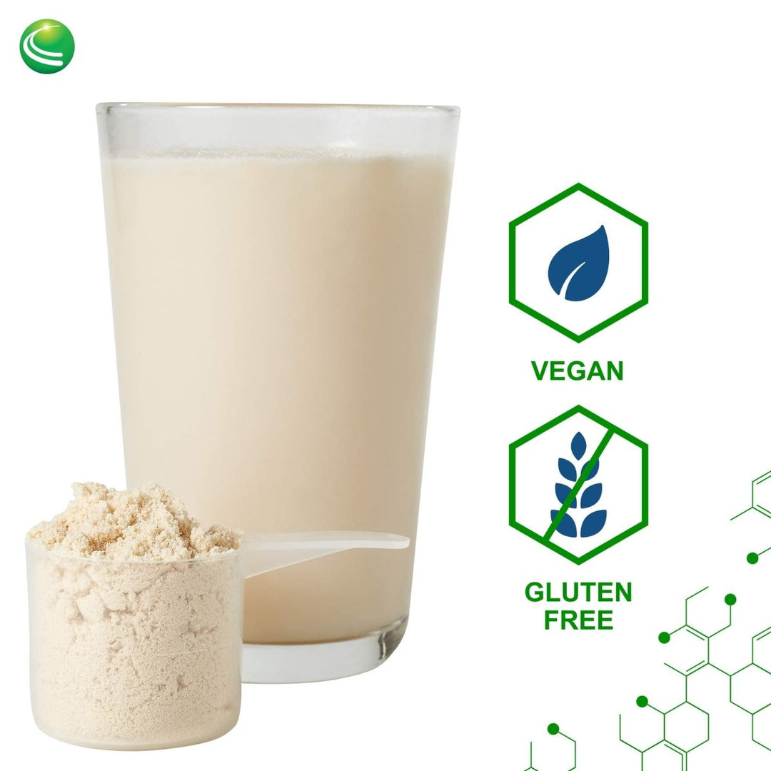 Nutra BioGenesis - UltraLean Vegan Vanilla - Functional Food Shake, Powdered Nutritional Beverage, Plant Based Protein Supplement - 1.2 Lb - The Oasis of Health