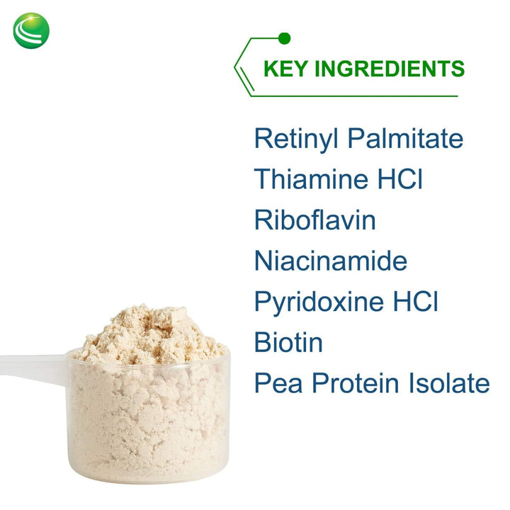 Nutra BioGenesis - UltraLean Vegan Vanilla - Functional Food Shake, Powdered Nutritional Beverage, Plant Based Protein Supplement - 1.2 Lb - The Oasis of Health