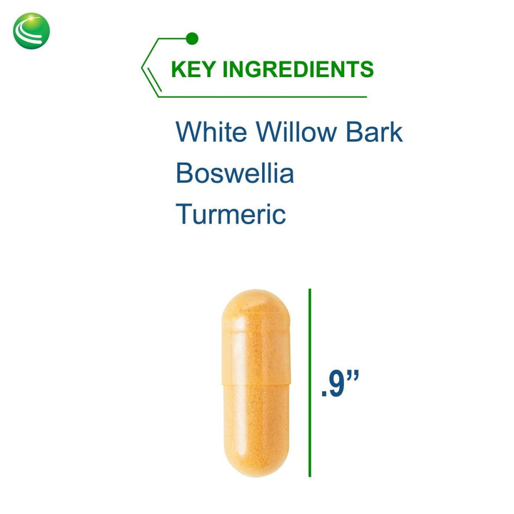 Nutra BioGenesis - White Willow Forte - 120 Capsules 01232 - The Oasis of Health