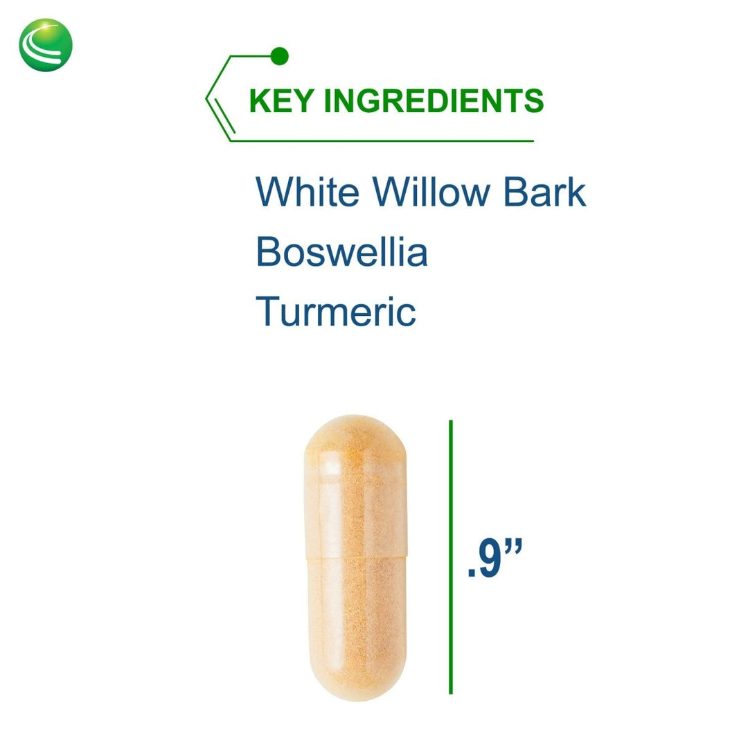 Nutra BioGenesis - White Willow Forte - White Willow Bark, Boswellia and Turmeric to Help Support Body Comfort and Cytokine Balance 10253 - 30 Capsules - The Oasis of Health