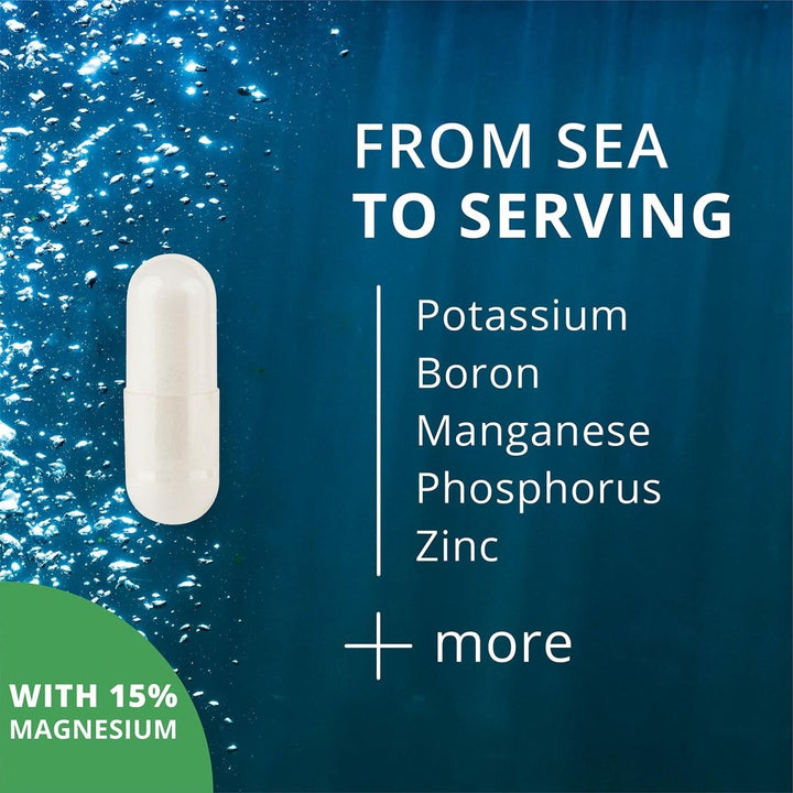 NutraMedix Deep Ocean Trace Minerals 1,000mg - Mineral & Energy Supplements - Magnesium, Zinc, Potassium, Boron, Phosphorus & Manganese - Electrolyte Support (60 Capsules) - The Oasis of Health