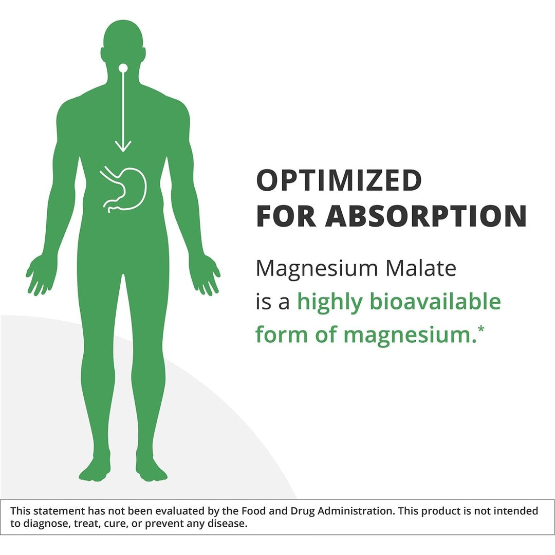 NutraMedix Magnesium Malate 200mg - Bioavailable Energy, Bone Health, Muscle & Joint Support Supplement - Vegan, Non - GMO & Gluten - Free Vitamin and Mineral Support (120 Vegetarian Capsules) - The Oasis of Health