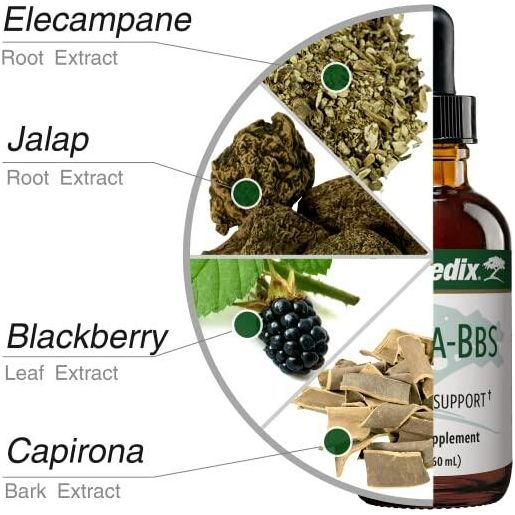 Nutramedix Nutra BBS - Liquid Herbal Supplement for Digestive & Immune Support - Elecampane Root & BlackBerry Leaves Extract for Gut Health - Immunity Booster Supplement (60mL) - The Oasis of Health