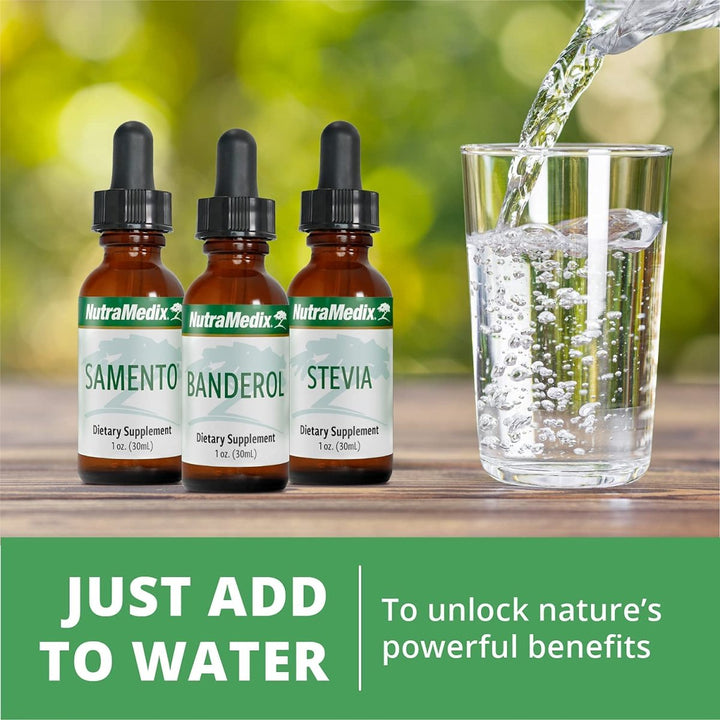 NutraMedix Parsley Herbal Supplement - Parsley Leaf and Stem Extract - Antioxidant Support, Body Detox &amp; Cleanse Support - Liquid Herbal Supplements for Immune Health (1oz / 30ml) - The Oasis of Health