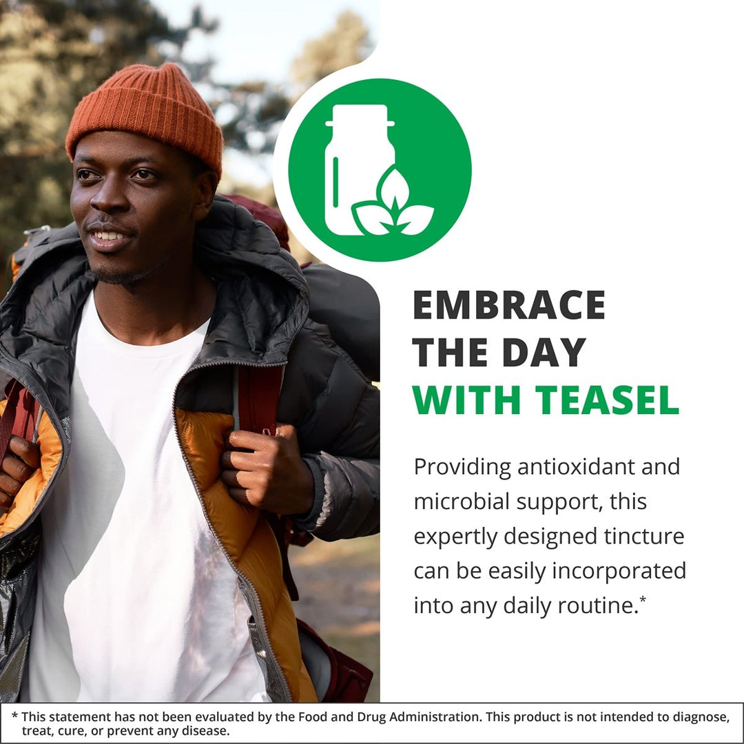 NutraMedix Teasal Extract - Fuller?s Teasel Root (Dipsacus fullonum) Wellness Drops for Antioxidant Support - Vegan Antioxidants Supplement (1oz / 30ml) - The Oasis of Health