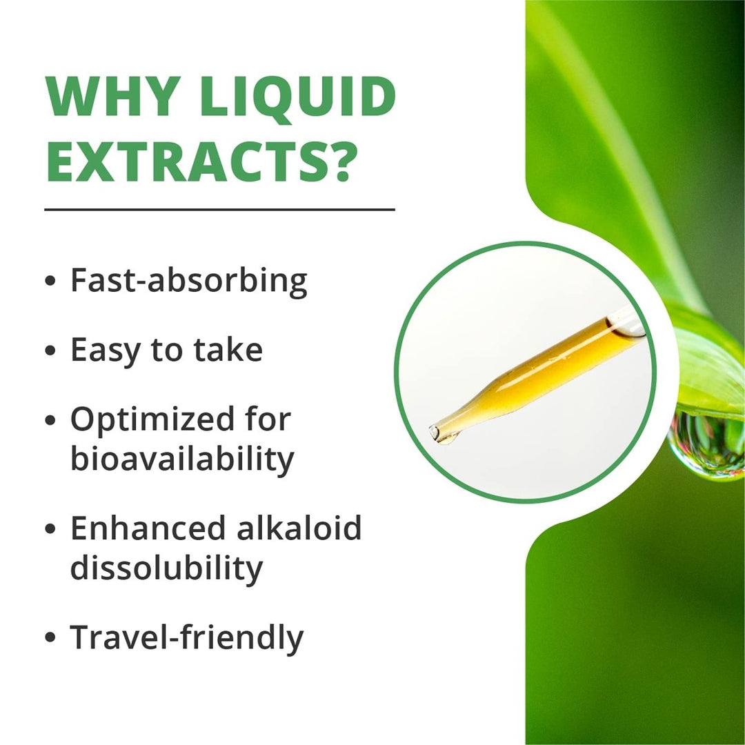 NutraMedix Teasal Extract - Fuller?s Teasel Root (Dipsacus fullonum) Wellness Drops for Antioxidant Support - Vegan Antioxidants Supplement (1oz / 30ml) - The Oasis of Health