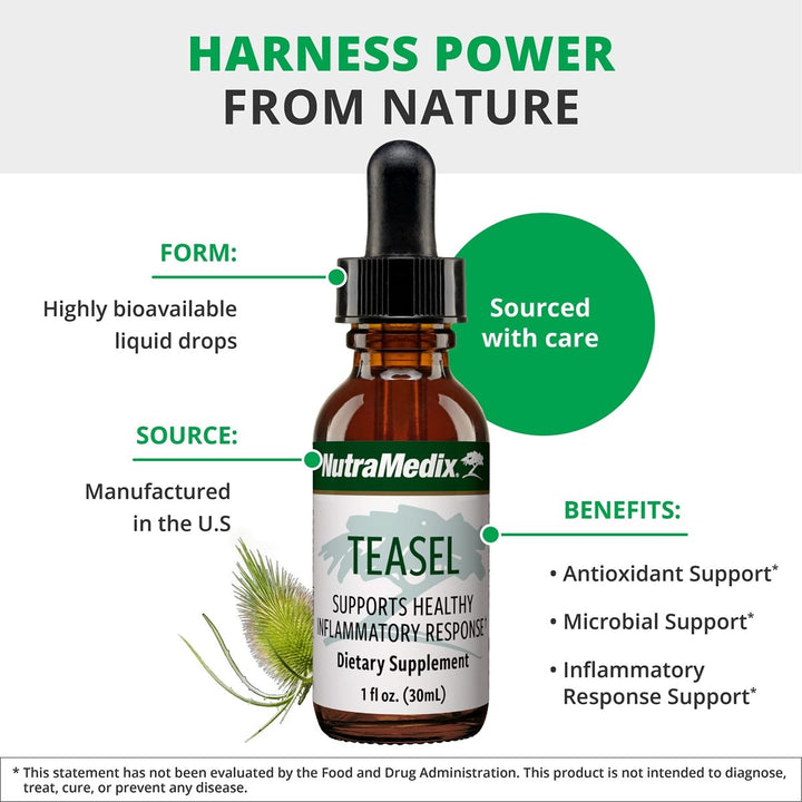 NutraMedix Teasal Extract - Fuller?s Teasel Root (Dipsacus fullonum) Wellness Drops for Antioxidant Support - Vegan Antioxidants Supplement (1oz / 30ml) - The Oasis of Health