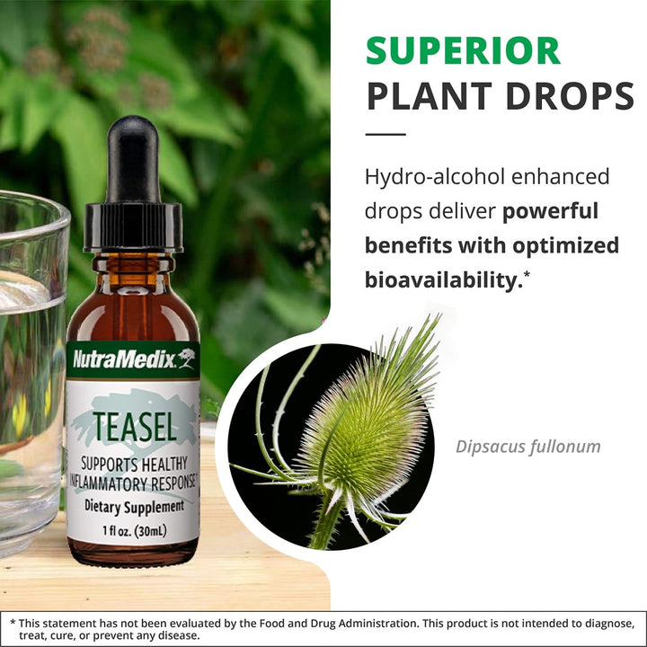 NutraMedix Teasal Extract - Fuller?s Teasel Root (Dipsacus fullonum) Wellness Drops for Antioxidant Support - Vegan Antioxidants Supplement (1oz / 30ml) - The Oasis of Health