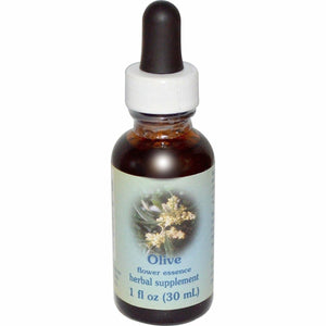 Olive Dropper 1 Ounces - The Oasis of Health