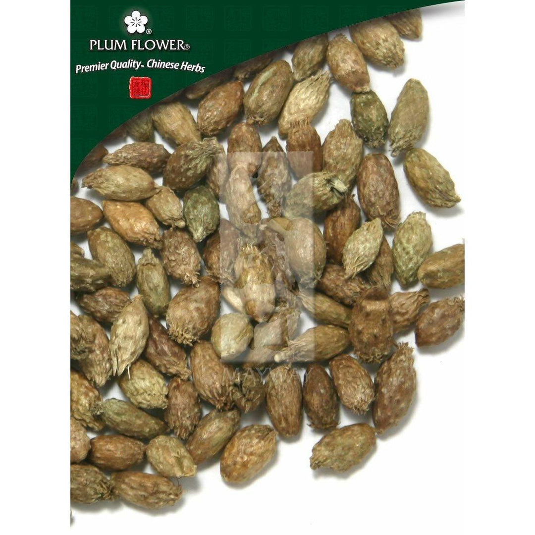 Cang Er Zi, unsulfured Xanthium sibiricum fruit Plum Flower500 g/bag - The Oasis of Health