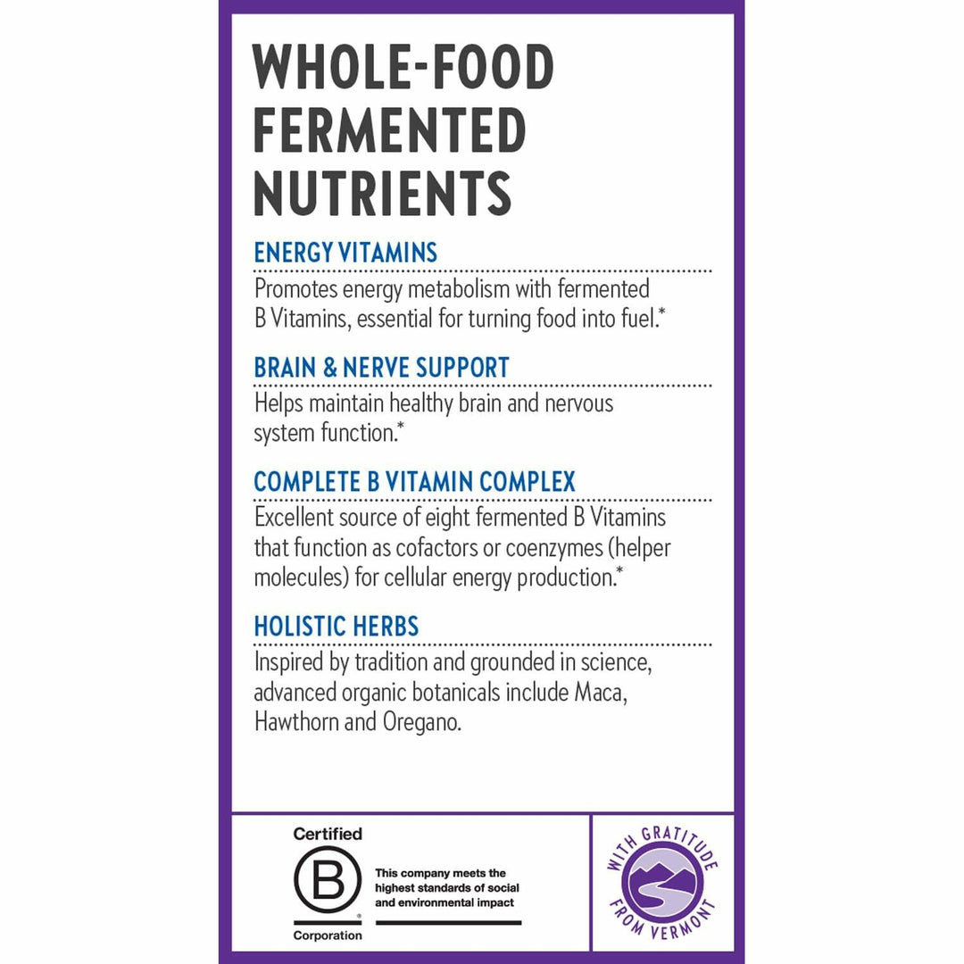 New Chapter Vitamin B Complex – Fermented Coenzyme B Complex Rich in Vitamin B12 + Vitamin B6 + Biotin + Made with Organic Ingredients - 60 ct - The Oasis of Health