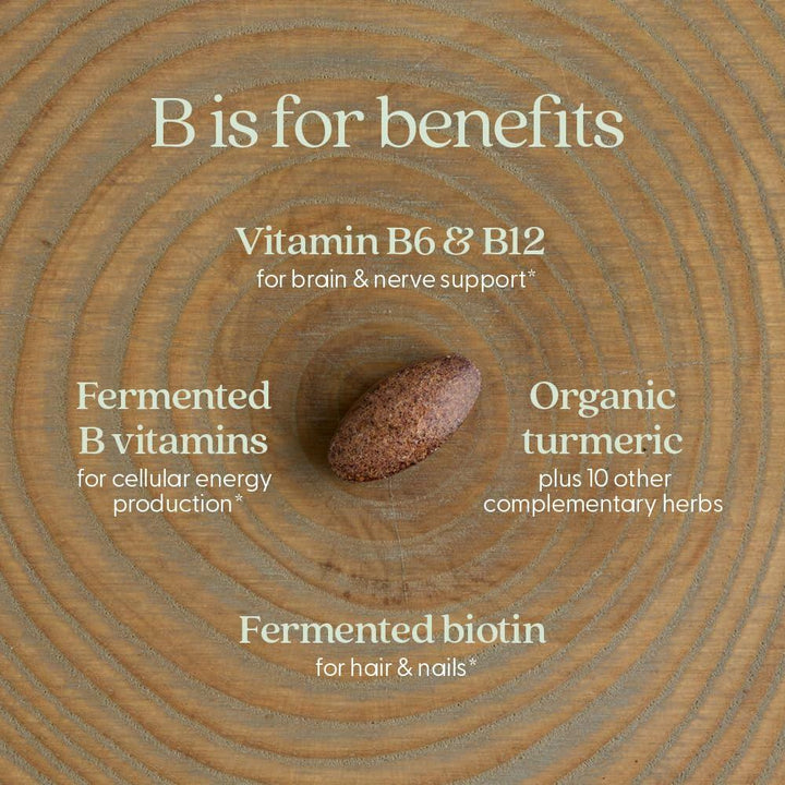 New Chapter Vitamin B Complex – Fermented Coenzyme B Complex Rich in Vitamin B12 + Vitamin B6 + Biotin + Made with Organic Ingredients - 60 ct - The Oasis of Health
