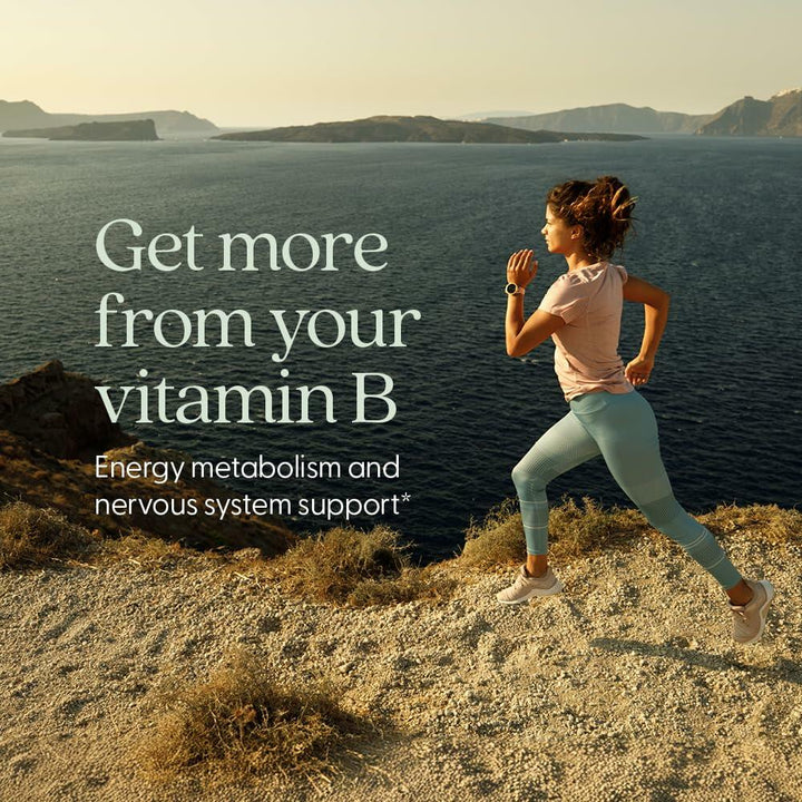 New Chapter Vitamin B Complex – Fermented Coenzyme B Complex Rich in Vitamin B12 + Vitamin B6 + Biotin + Made with Organic Ingredients - 60 ct - The Oasis of Health