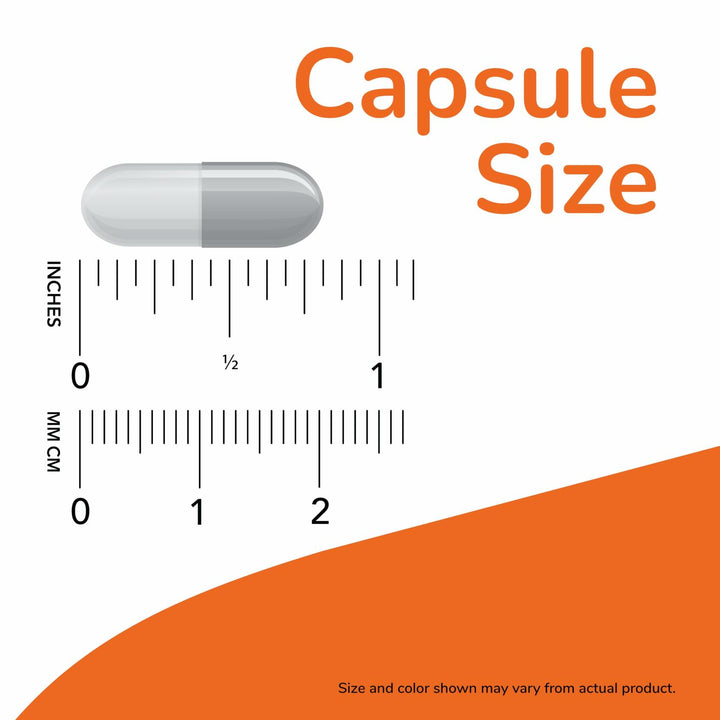 NOW Supplements Choline 300 mg, 100 Veg Capsules - Supports Nervous System and Liver Health, Vegan - The Oasis of Health